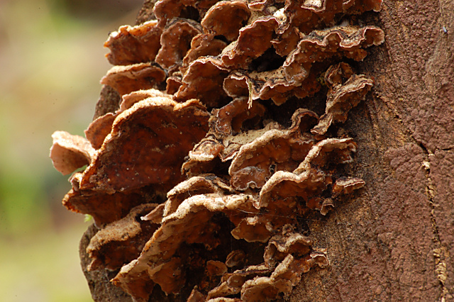 Criticatemi pure senza piet�!